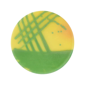 ChromoBio® MRSA (agar alap + kiegészítő) KIT