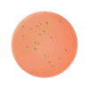 ChromoBio® MRSA (agar alap + kiegészítő) KIT