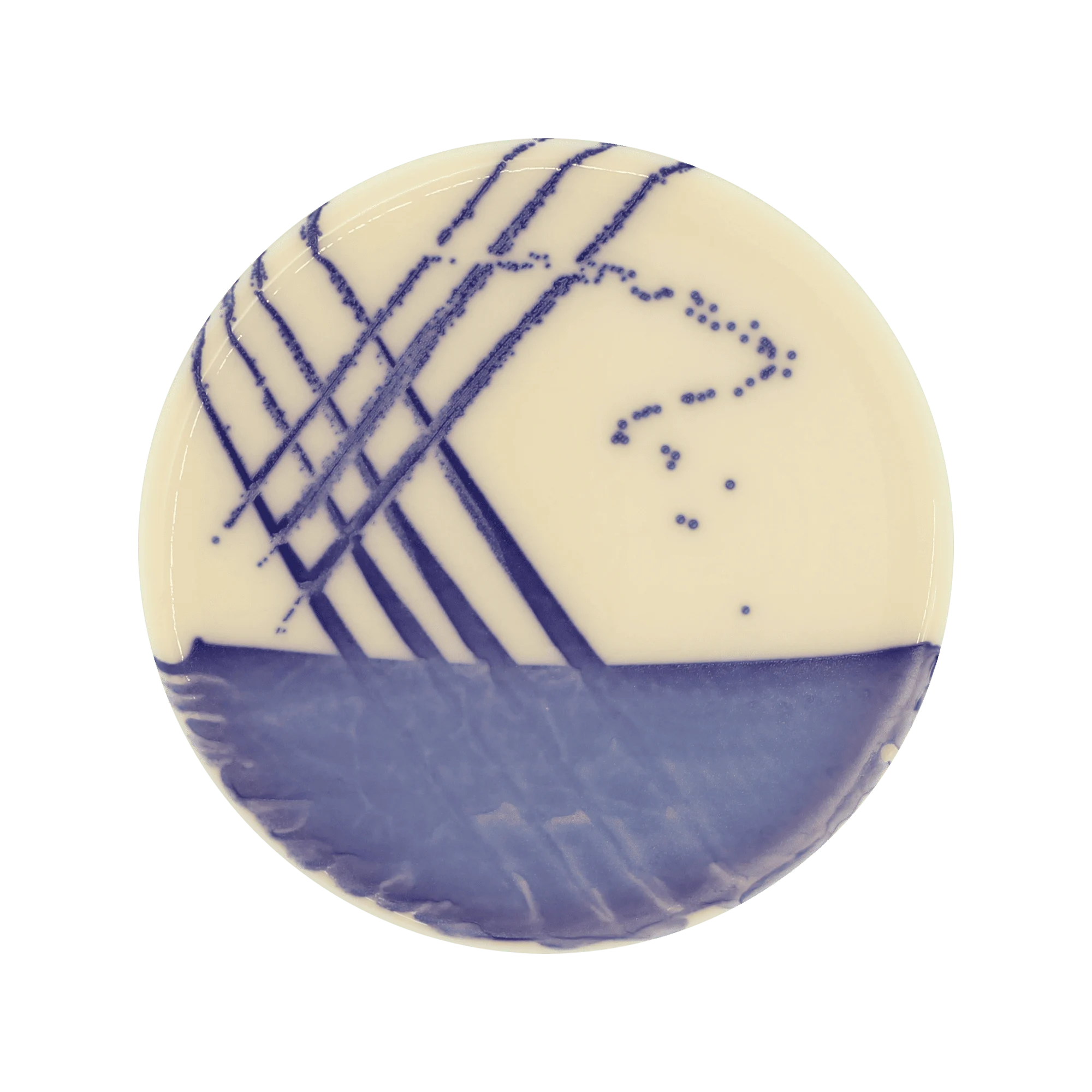 ChromoBio® VRE  (agar alap + kiegészítő) KIT