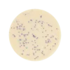 ChromoBio® VRE  (agar alap + kiegészítő) KIT