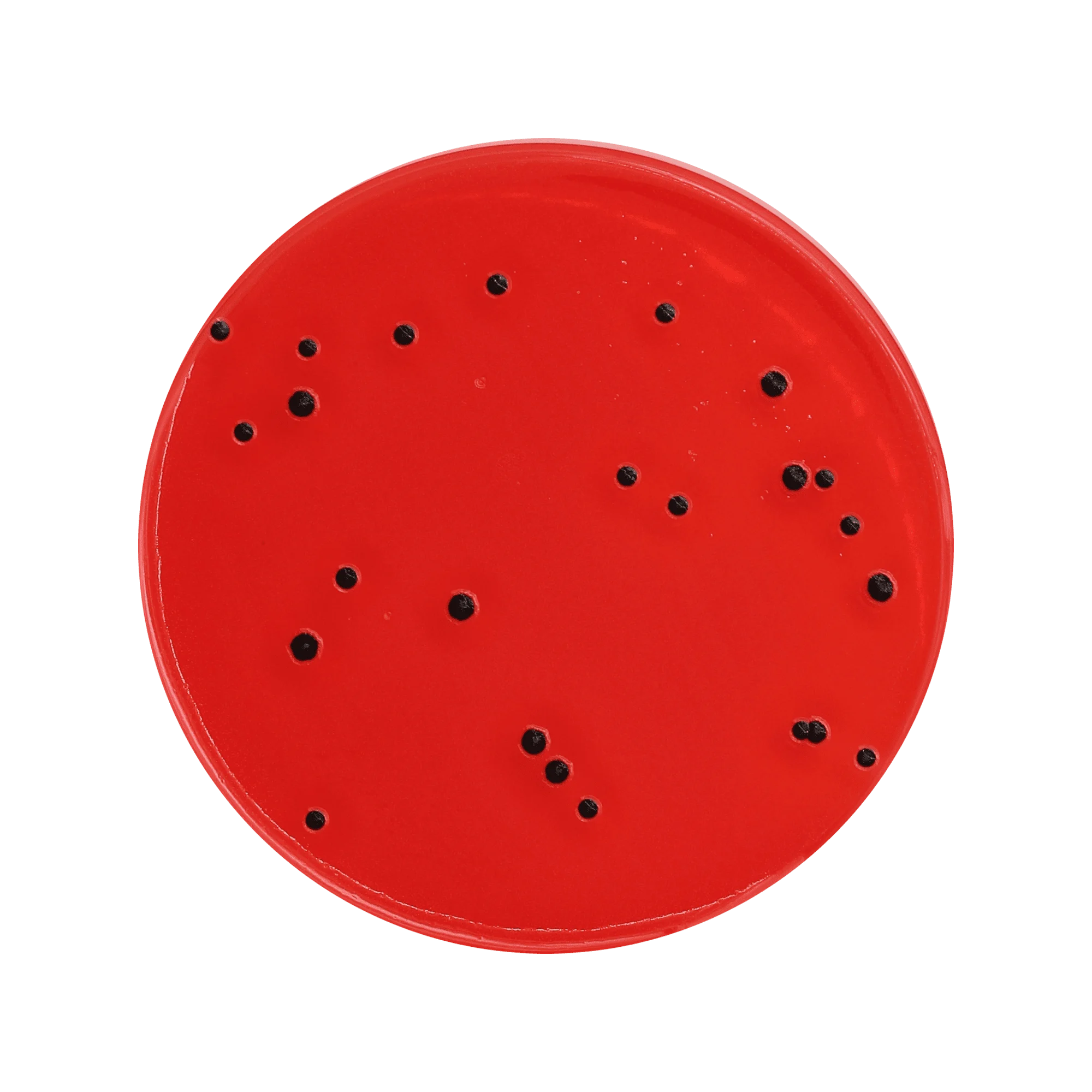 XLD Agar, PH EUR - USP